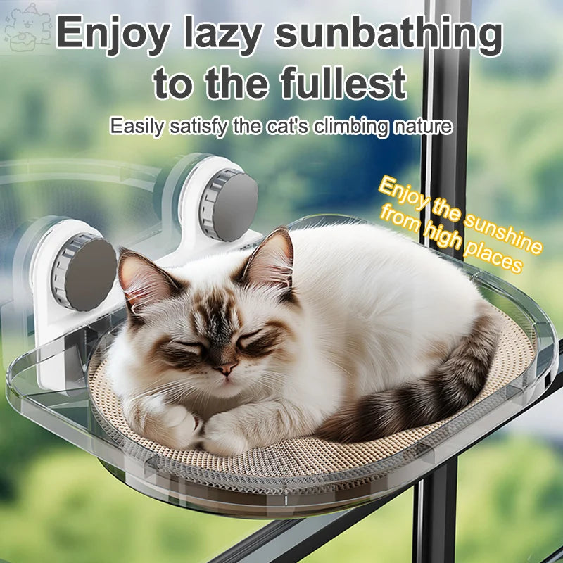 Window Hanging Mounted Cat Sleeping Bed with Suction Cup Cat Furniture Wall Shelf Mount Transparent Hammock Wall