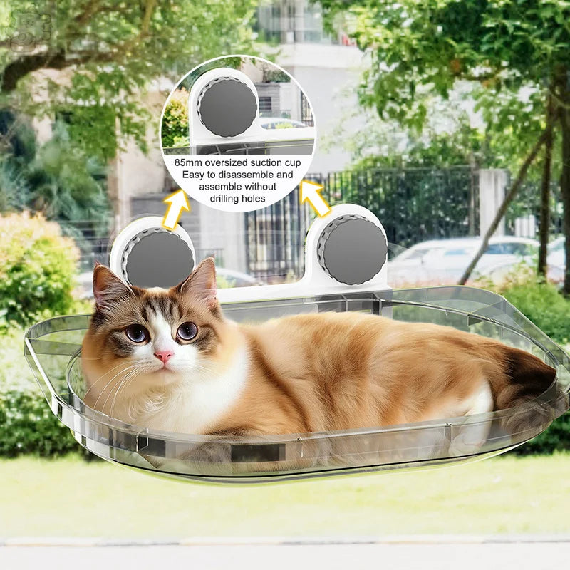 Window Hanging Mounted Cat Sleeping Bed with Suction Cup Cat Furniture Wall Shelf Mount Transparent Hammock Wall