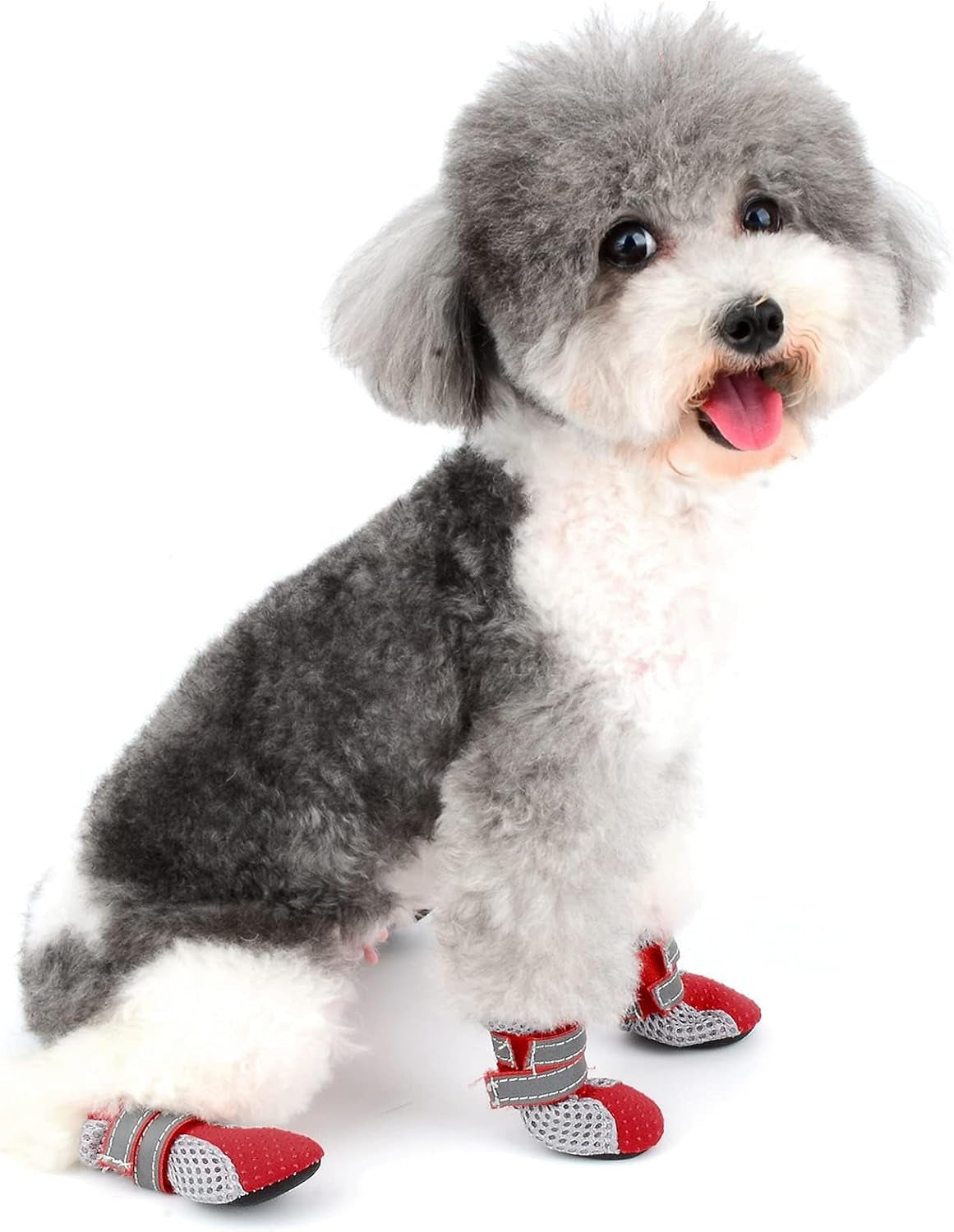 Stivali Estivi Antiscivolo per Cani Piccola Taglia Protezione per Zampe Scarpine Riflettenti Traspirante Morbida Maglia per Cuccioli Resistente per Le Calde Stagioni Pavimentazione Rosso Mini M