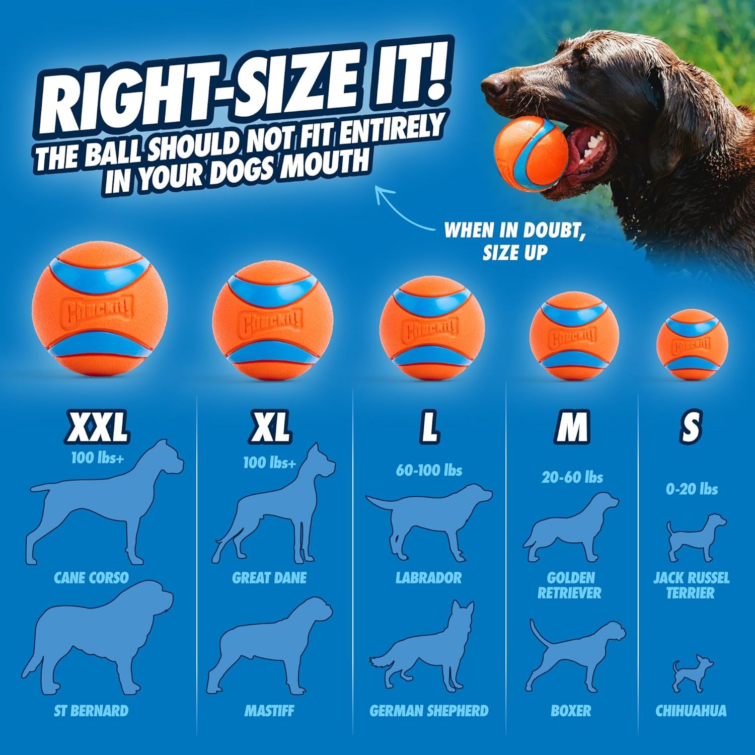 Ultra Ball Dog Toy, Durable High Bounce Floating Rubber Dog Ball, Launcher Compatible Toy for Dogs, 2 Pack, Medium