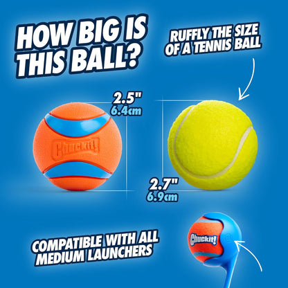 Ultra Ball Dog Toy, Durable High Bounce Floating Rubber Dog Ball, Launcher Compatible Toy for Dogs, 2 Pack, Medium
