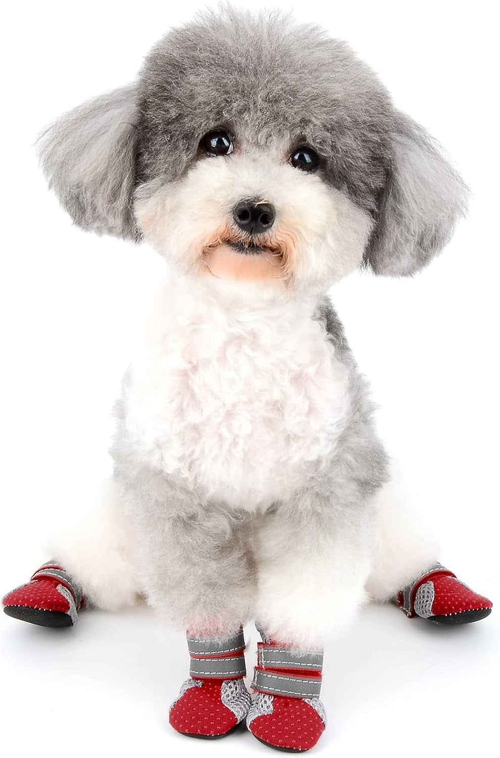 Stivali Estivi Antiscivolo per Cani Piccola Taglia Protezione per Zampe Scarpine Riflettenti Traspirante Morbida Maglia per Cuccioli Resistente per Le Calde Stagioni Pavimentazione Rosso Mini M