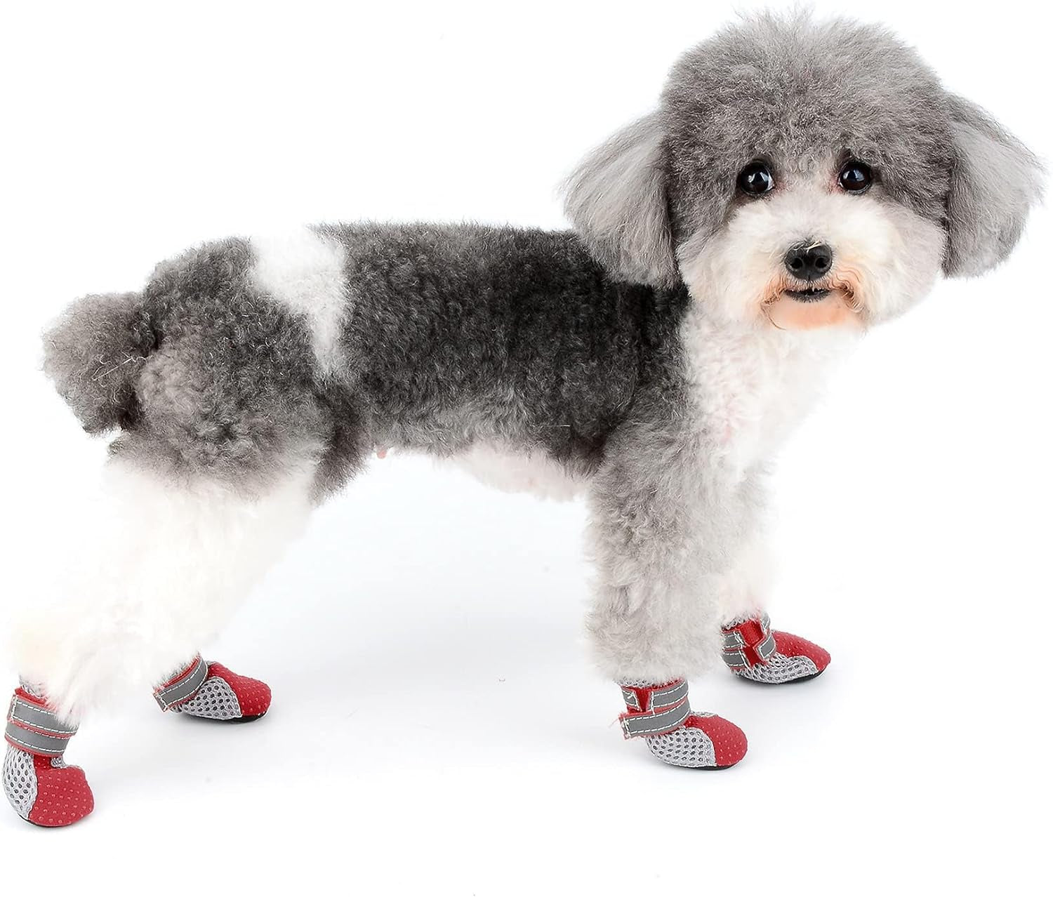 Stivali Estivi Antiscivolo per Cani Piccola Taglia Protezione per Zampe Scarpine Riflettenti Traspirante Morbida Maglia per Cuccioli Resistente per Le Calde Stagioni Pavimentazione Rosso Mini M