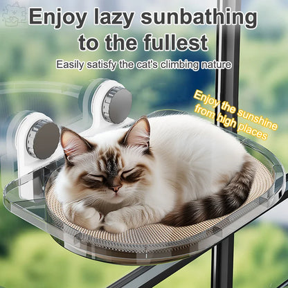 Window Hanging Mounted Cat Sleeping Bed with Suction Cup Cat Furniture Wall Shelf Mount Transparent Hammock Wall