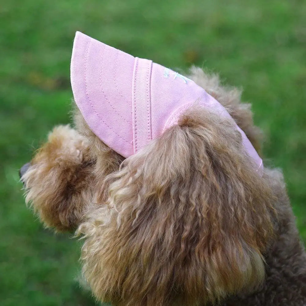 Fashion Pet Baseball Hat Outdoor Cat Dog Adjustable Peaked Cap Visor Hat Summer Pet Travel Sports Sun Cap with Ear Holes
