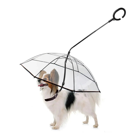 Canine Rain Protection Umbrella